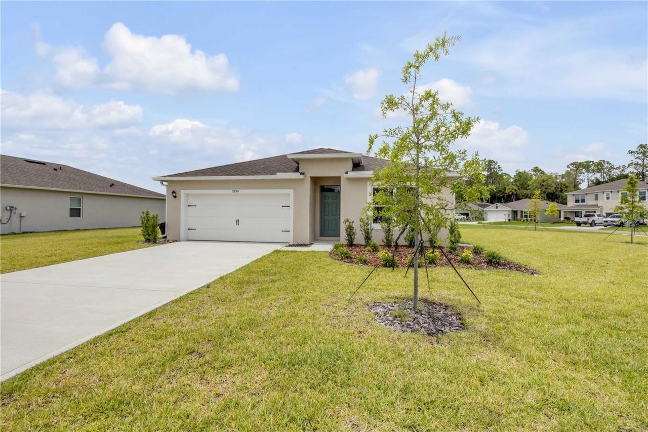 2250 Lake Preserve Circle, New Smyrna Beach, FL 32168 Photo