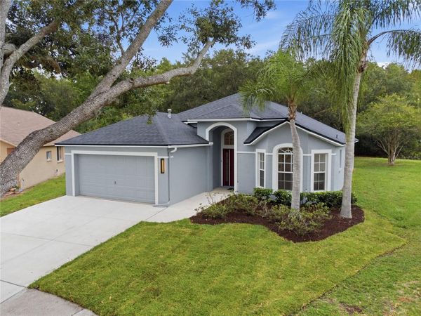 6003 CHELLAS COURT , LUTZ, FL 33558