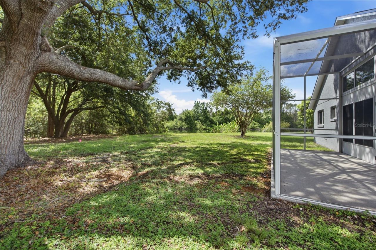 6003 Chellas Court, Lutz, FL 33558 Photo