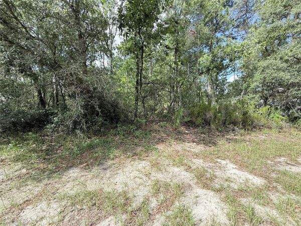 TBD SW 65TH AVENUE ROAD , OCALA, FL 34473