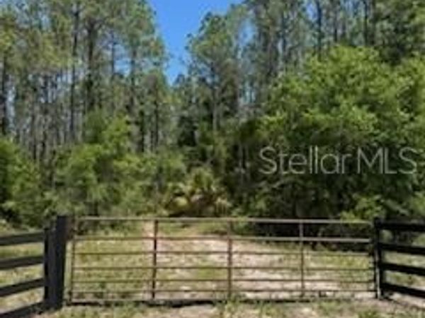 NE HWY 353 , OLD TOWN, FL 32680