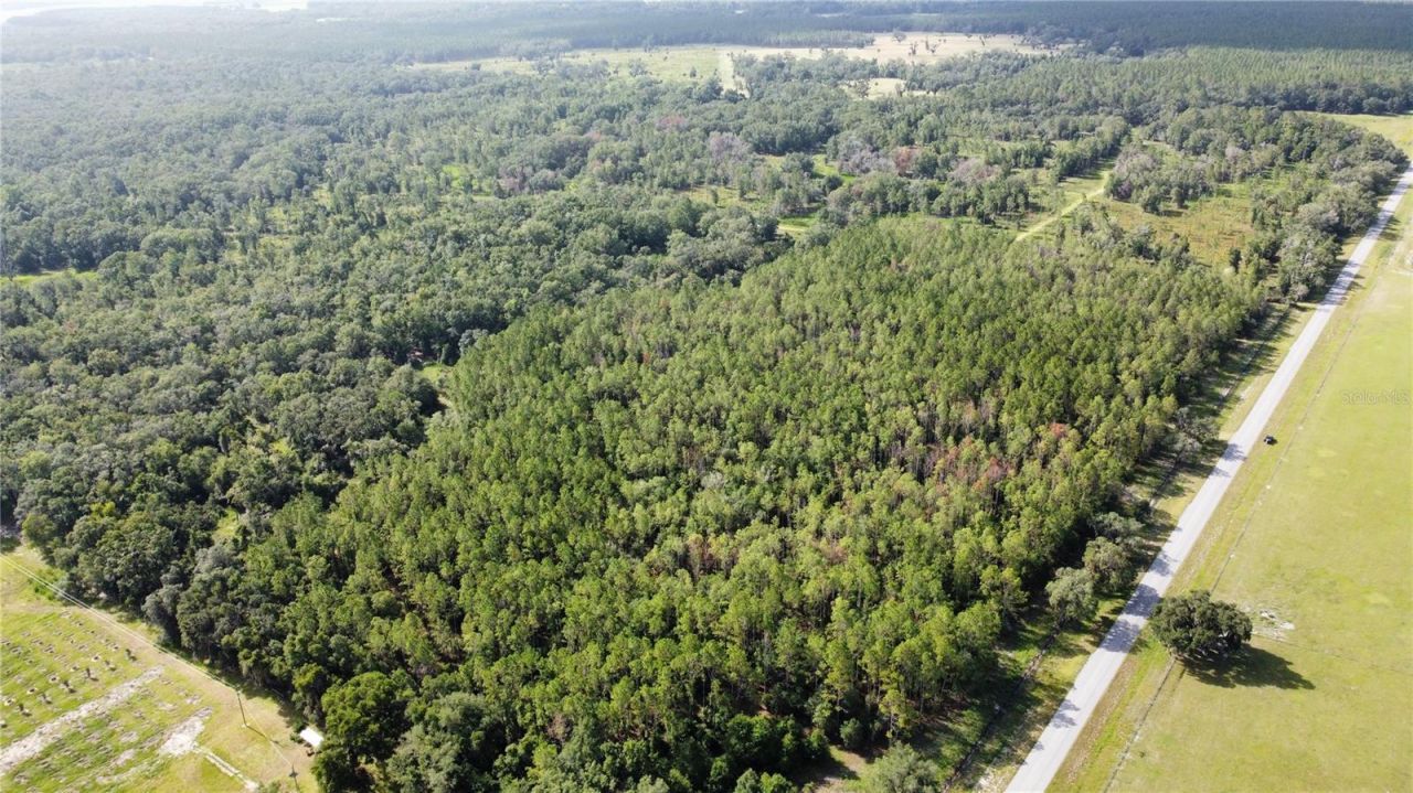 Ne Hwy 353, Old Town, FL 32680 Photo