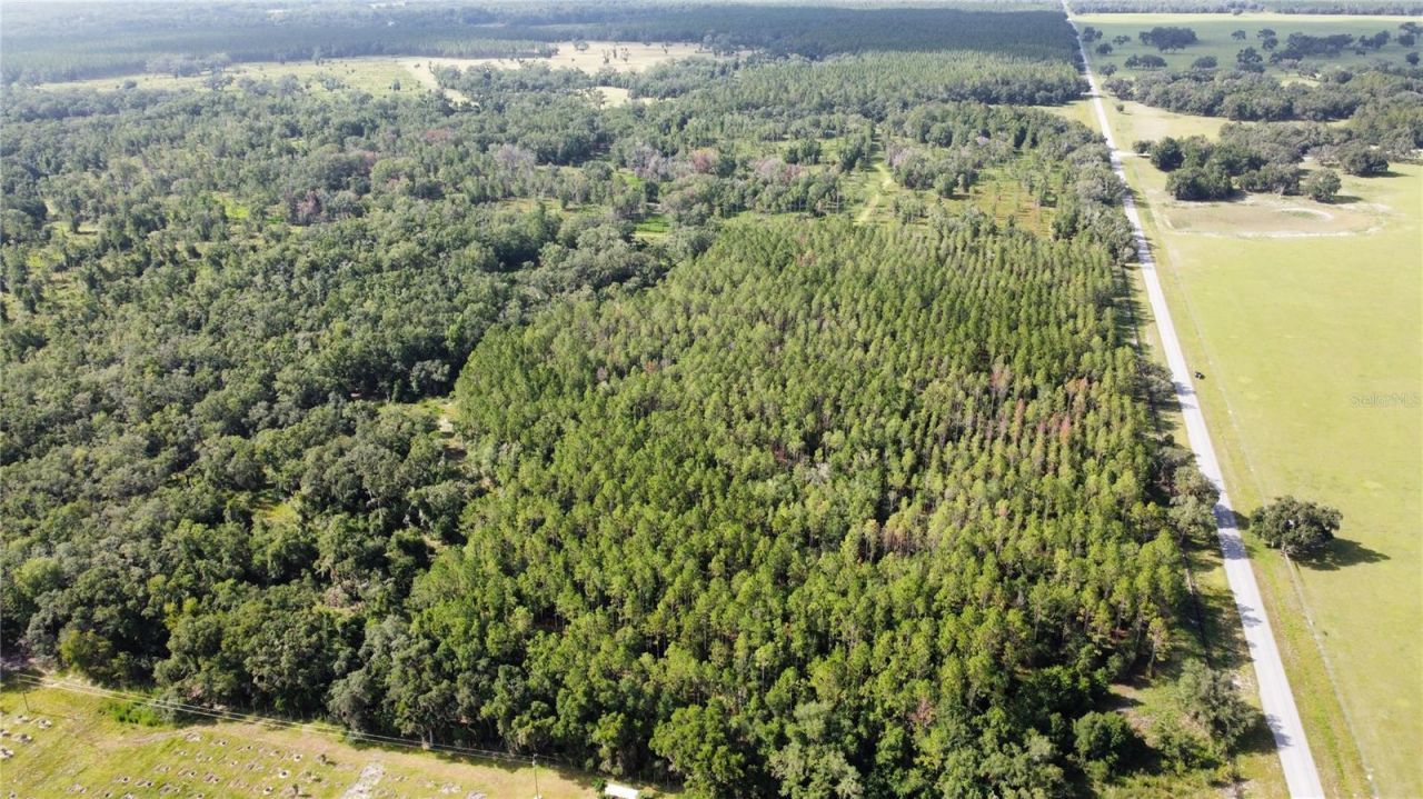 Ne Hwy 353, Old Town, FL 32680 Photo