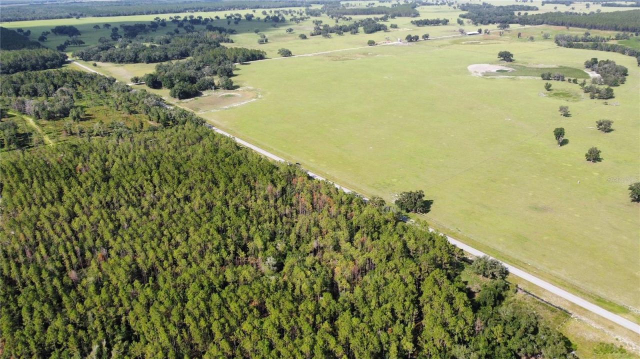 Ne Hwy 353, Old Town, FL 32680 Photo