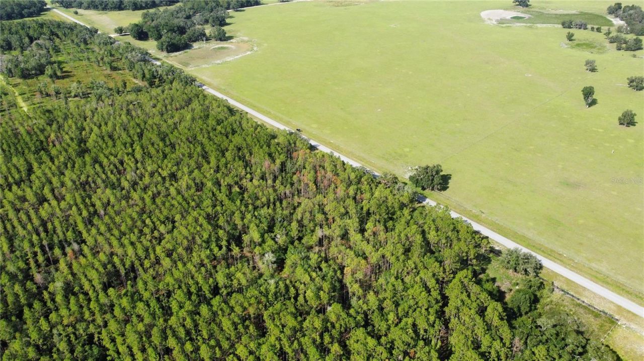 Ne Hwy 353, Old Town, FL 32680 Photo