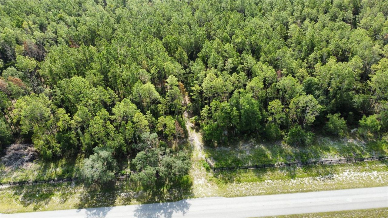Ne Hwy 353, Old Town, FL 32680 Photo