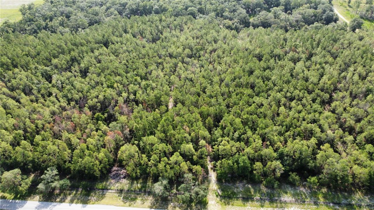Ne Hwy 353, Old Town, FL 32680 Photo