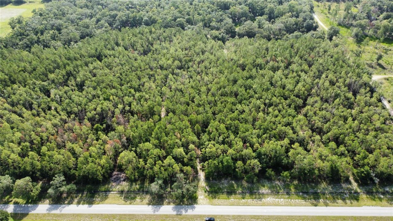 Ne Hwy 353, Old Town, FL 32680 Photo