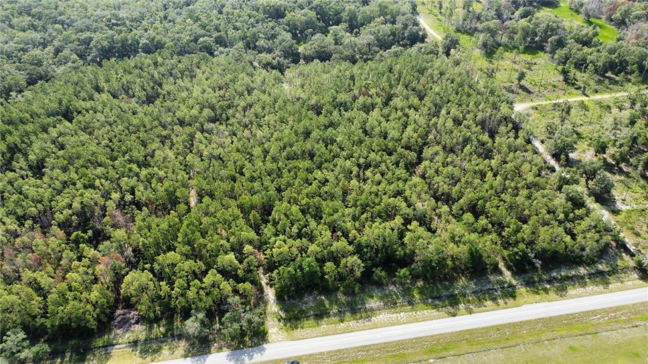 Ne Hwy 353, Old Town, FL 32680 Photo