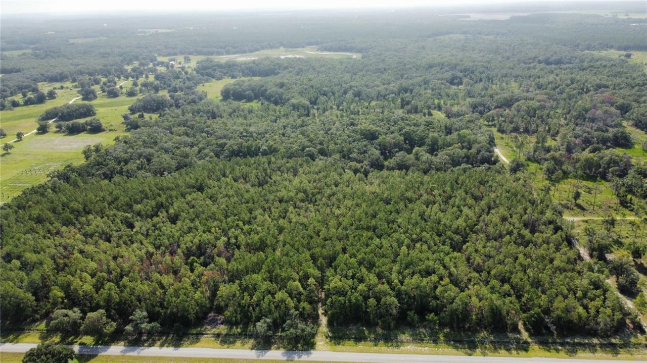 Ne Hwy 353, Old Town, FL 32680 Photo