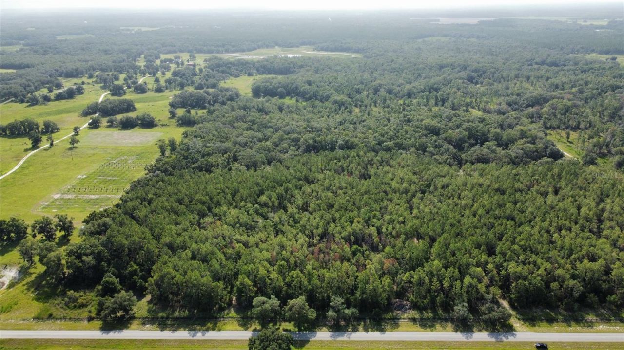Ne Hwy 353, Old Town, FL 32680 Photo