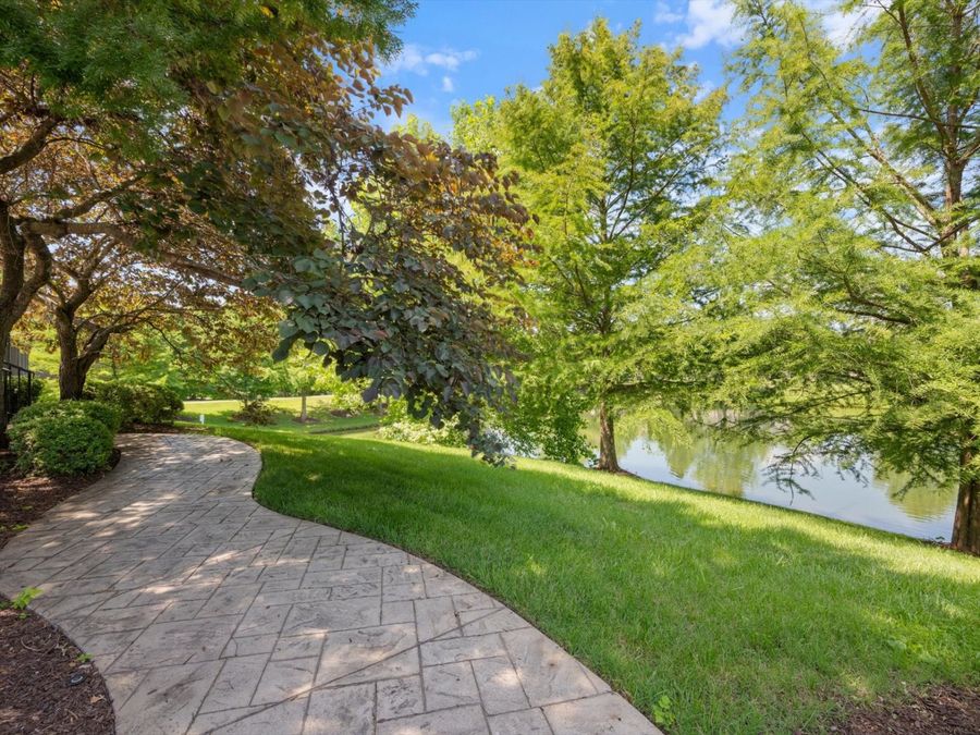 Property Image 85