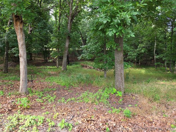Eagles Nest Drive , Disney, OK 74340