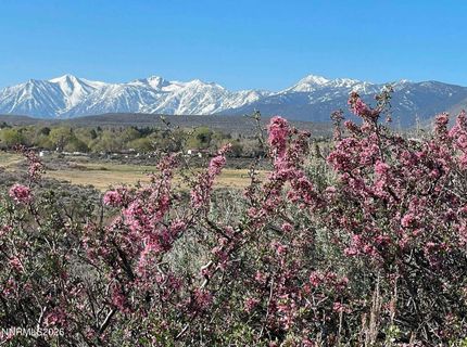 3667 Summer Hill Drive, Carson City, NV 89705 Photo