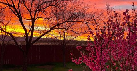 3667 Summer Hill Drive, Carson City, NV 89705 Photo