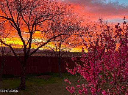 3667 Summer Hill Drive, Carson City, NV 89705 Photo