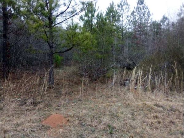 002 Old Woodbury Road, Woodbury, GA 30293
