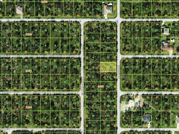 3303 SANTILLI STREET , PORT CHARLOTTE, FL 33948