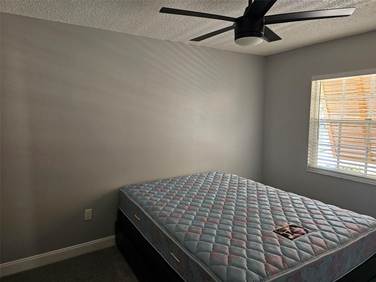 3625 57th Avenue Drive W, Bradenton, FL 34210 Photo