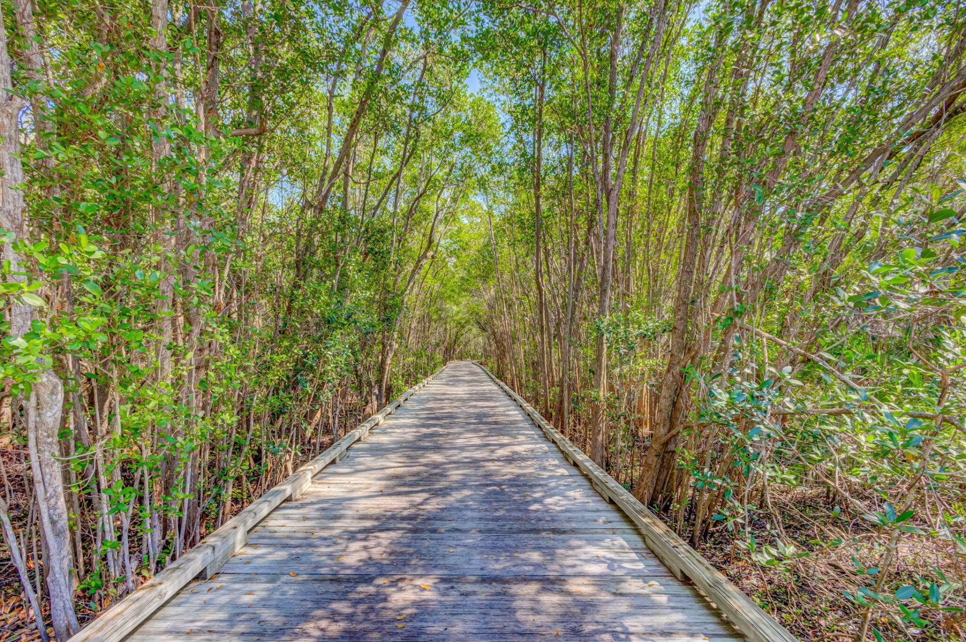 9954 SE Osprey Pointe Drive Se, Hobe Sound, FL 33455 Photo