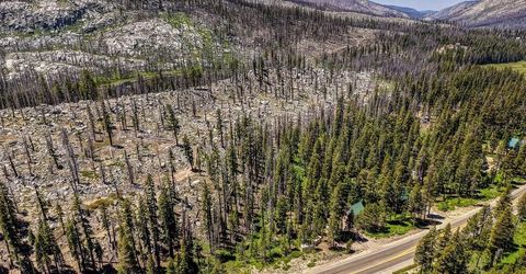 20760 Us Highway 50, South Lake Tahoe, CA 96150 Photo