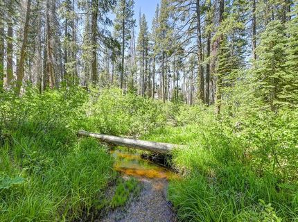 20760 Us Highway 50, South Lake Tahoe, CA 96150 Photo