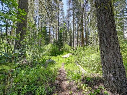 20760 Us Highway 50, South Lake Tahoe, CA 96150 Photo