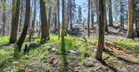 20760 Us Highway 50, South Lake Tahoe, CA 96150 Photo