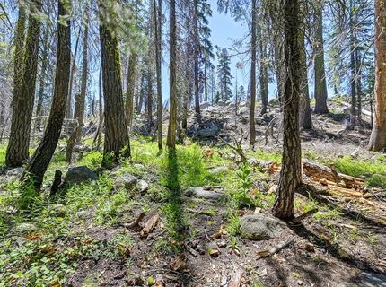 20760 Us Highway 50, South Lake Tahoe, CA 96150 Photo