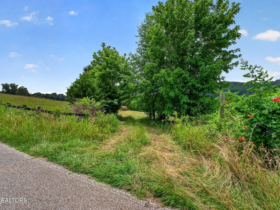 Property Image 50