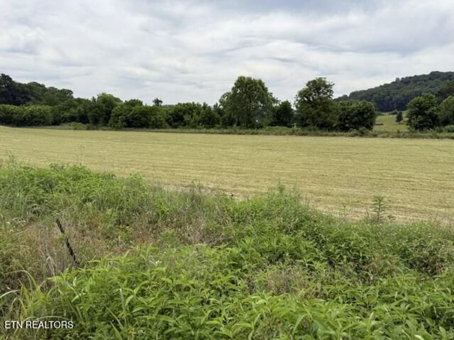 Property Image 56