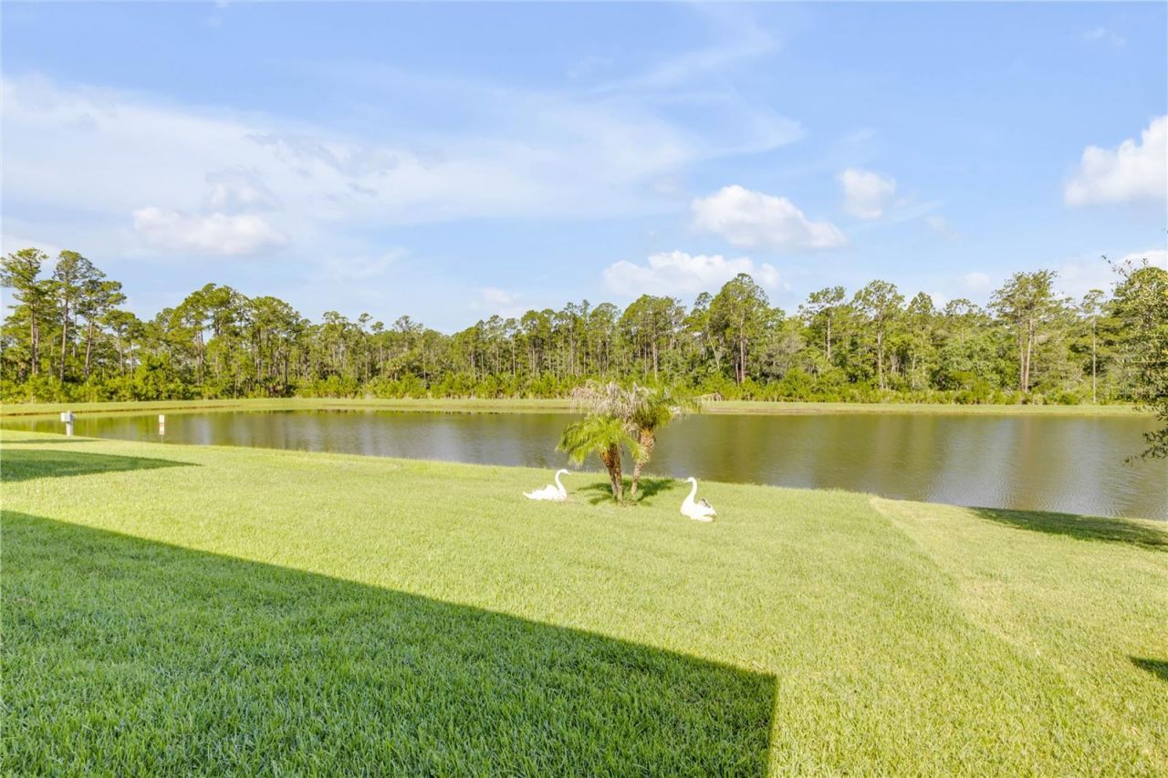 206 Caryota Court, New Smyrna Beach, FL 32168 Photo