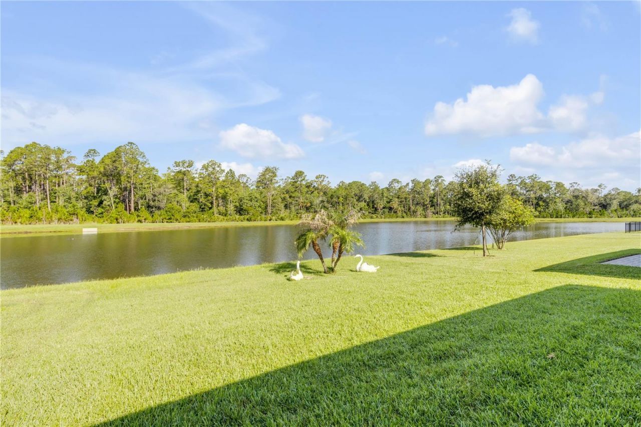 206 Caryota Court, New Smyrna Beach, FL 32168 Photo