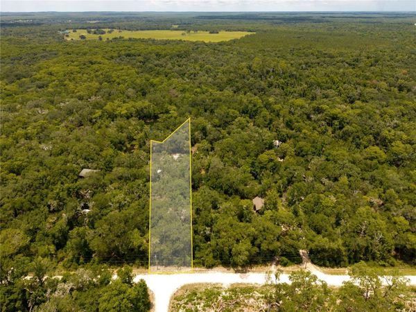 7333 RIVERVIEW DRIVE , WEBSTER, FL 33597