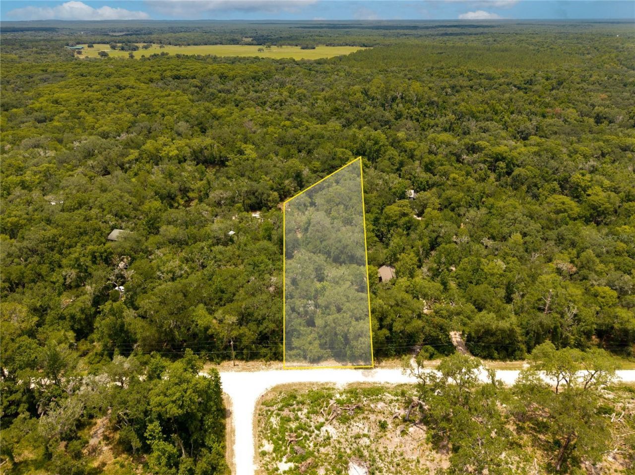 7337 Riverview Drive , Webster, FL 33597 Photo