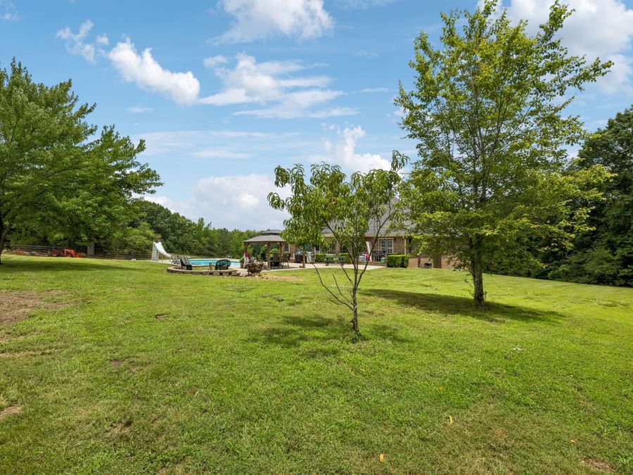 Property Image 88