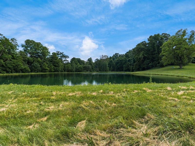 2428 Applegate Road , Lucas, OH 44843 Photo 61
