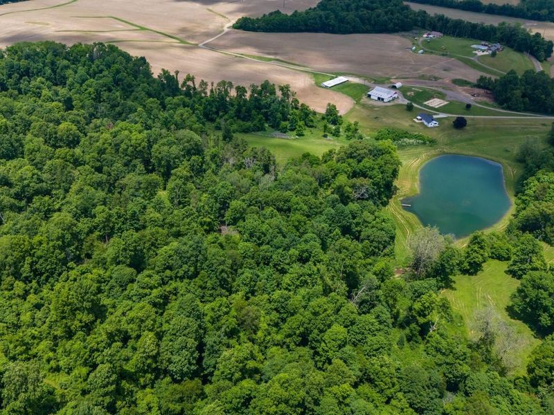 2428 Applegate Road , Lucas, OH 44843 Photo 96
