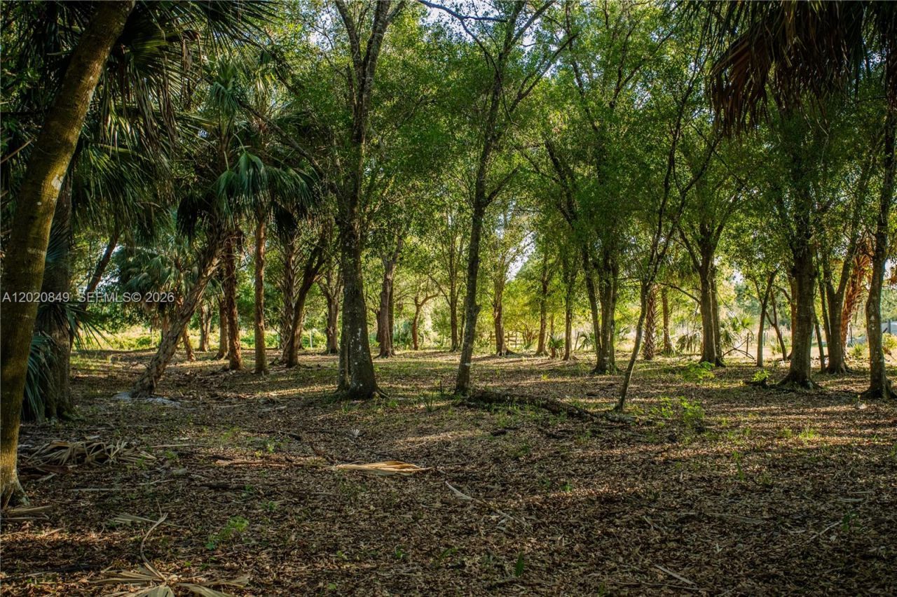 3880 Packinghouse Rd , Alva, FL 33920 Photo