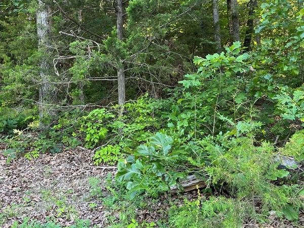 Lot 824 Woodson Road, Owensville, MO 65066