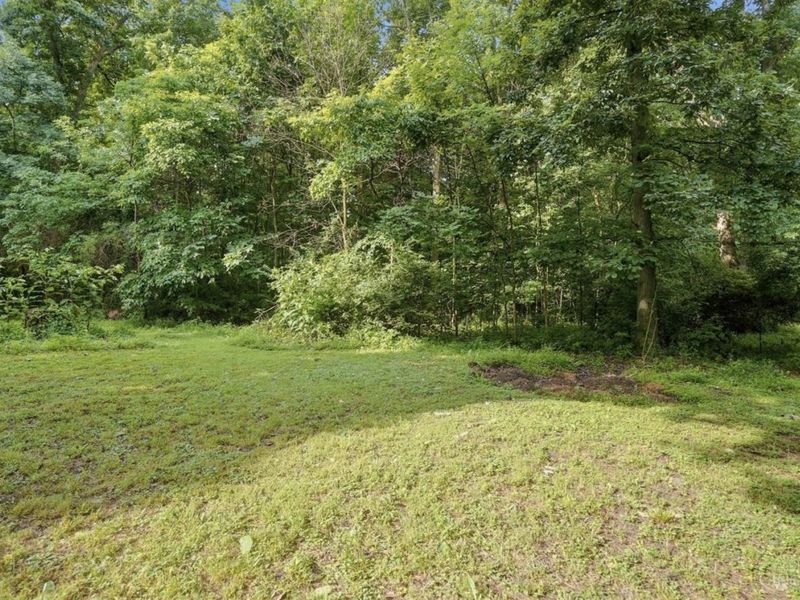 Pleasant Plain, OH 45162 Photo 32