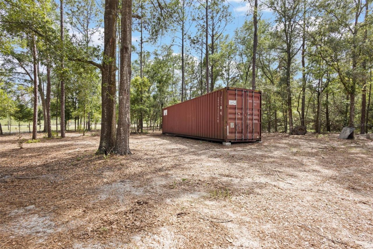 2298 NW 10th Street, Bell, FL 32619 Photo