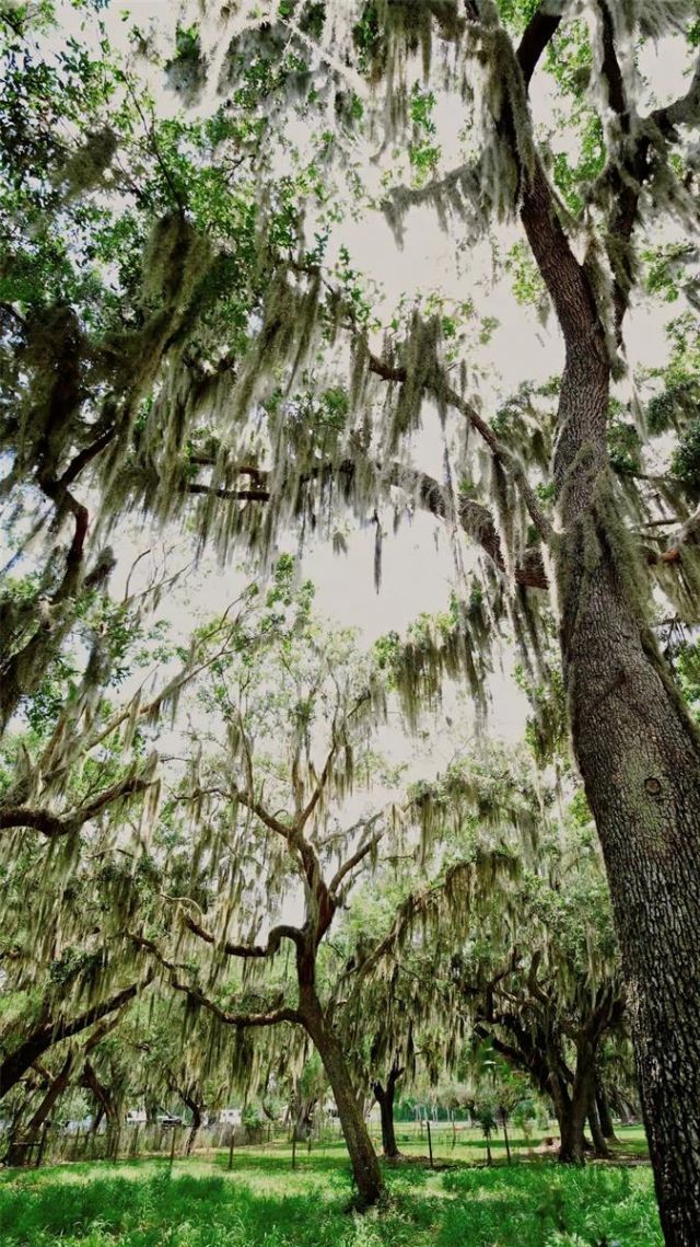 Parkway Avenue, Saint Cloud, FL 34772 Main Photo