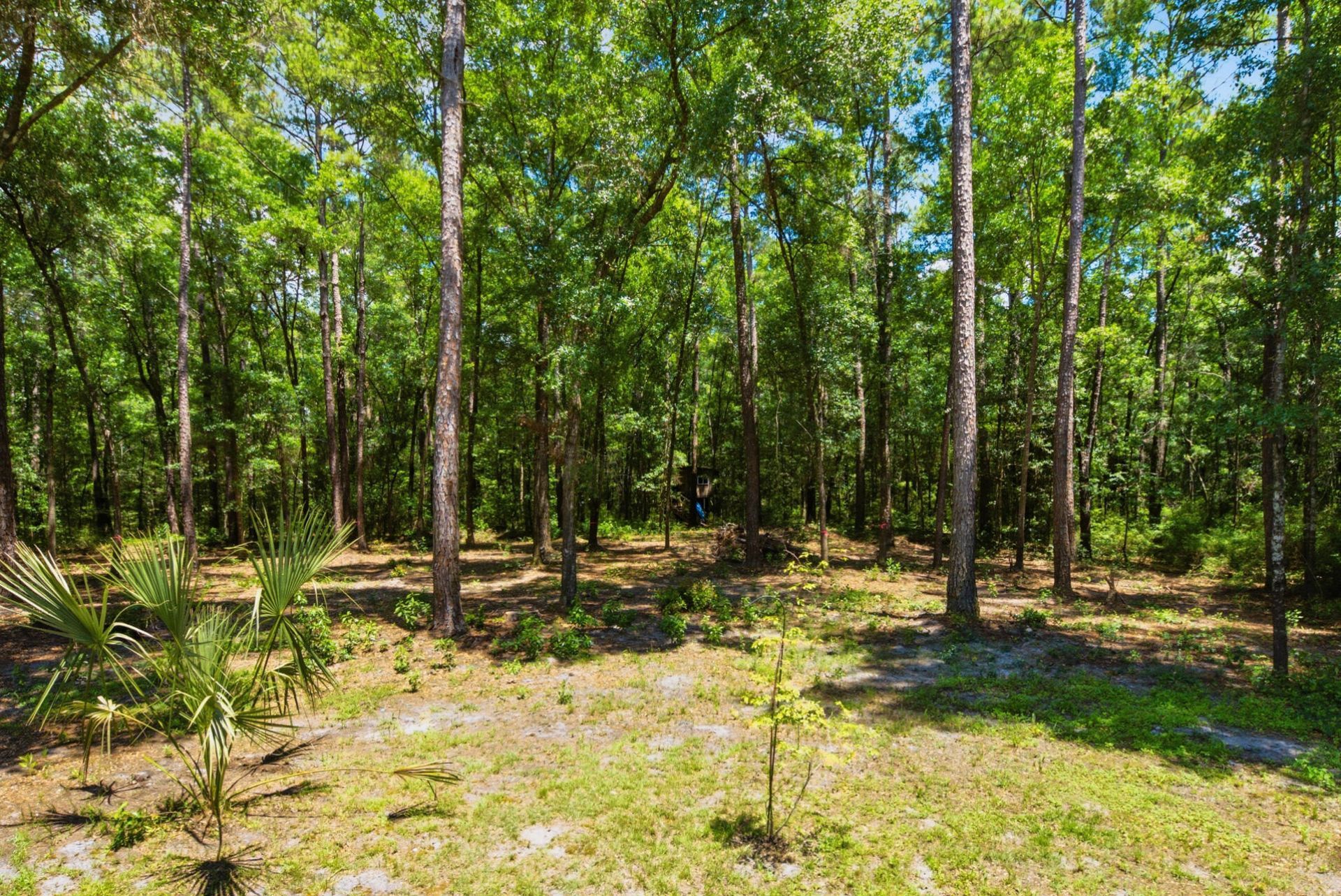 184 Hidden Cove Lane Photo 65
