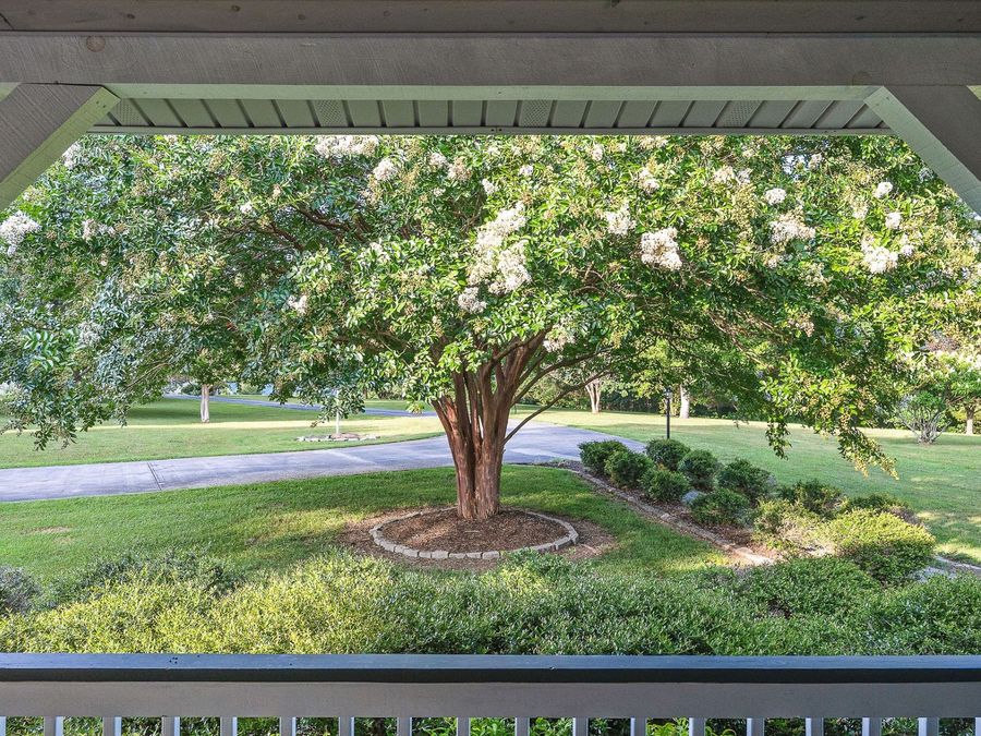 Property Image 88