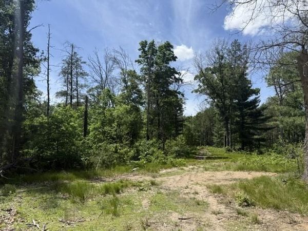 Parcel 2 Grove Street, Baldwin, MI 49304