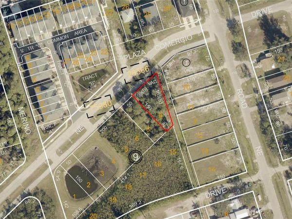 SAVONA DRIVE NE, ST PETERSBURG, FL 33702
