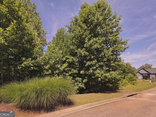 155 Coneflower Lane, Toccoa, GA 30577