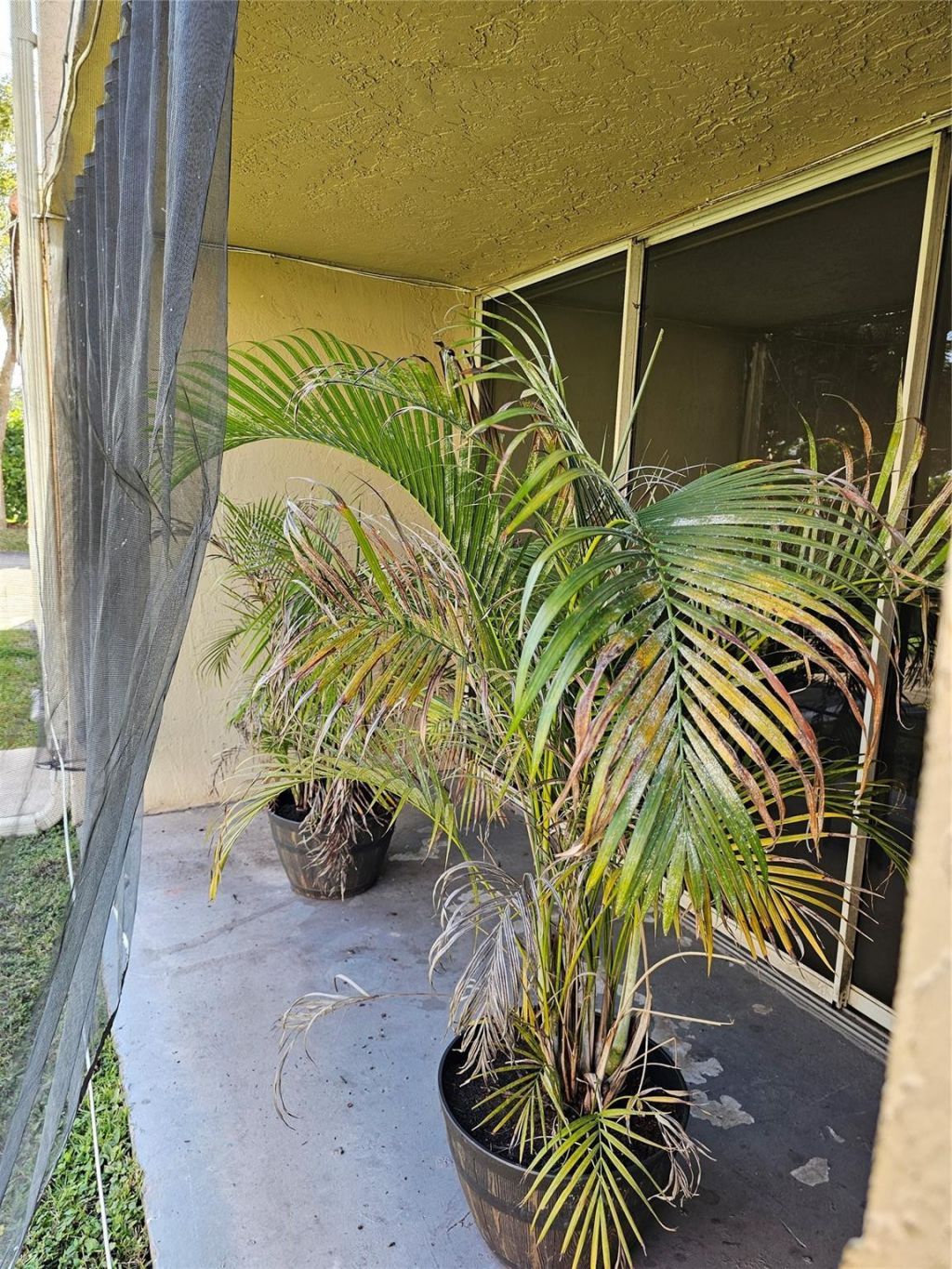8294 NW 24th Street, Unit 8294, Coral Springs, FL 33065 Photo