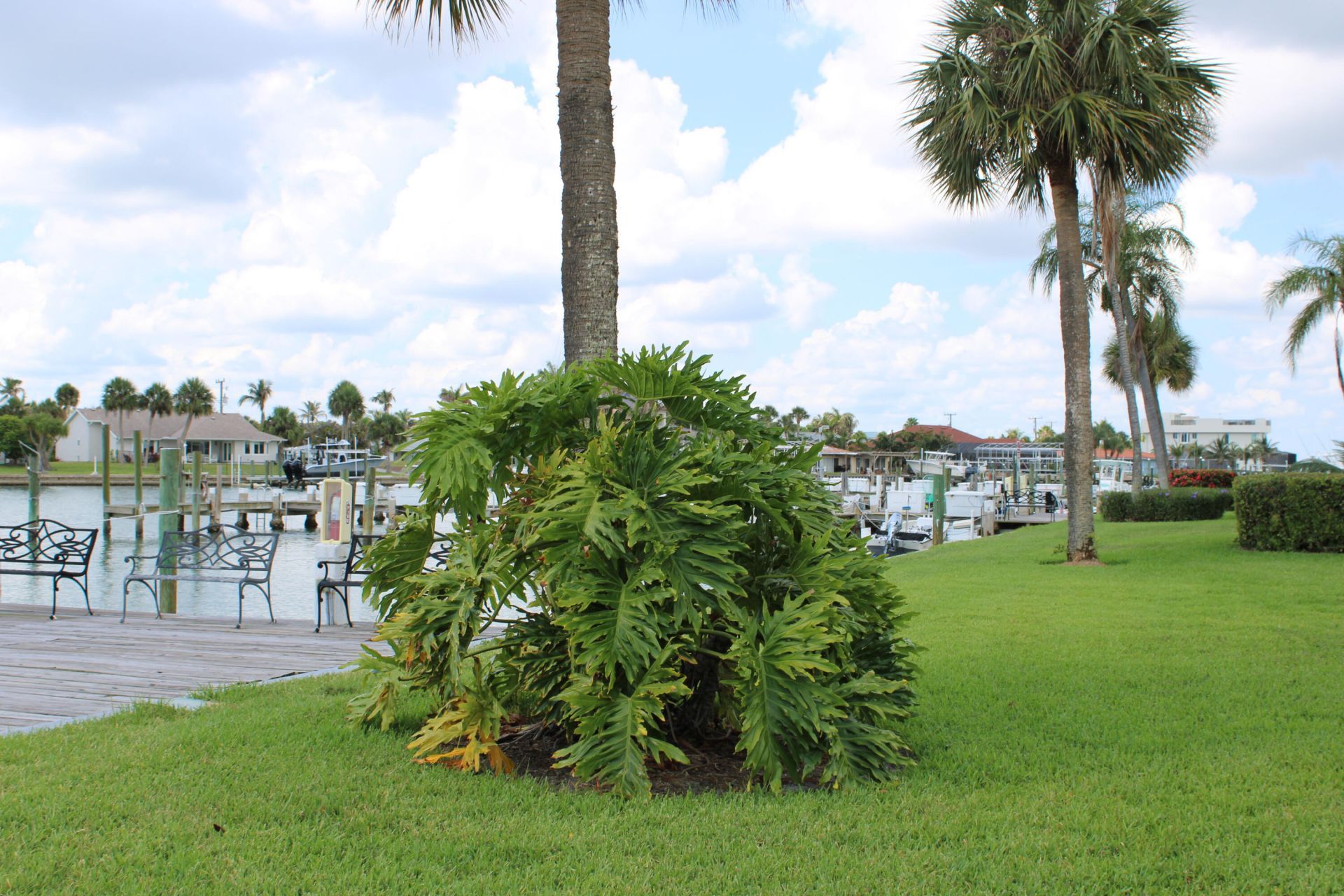 1181 Carlton Court, Unit 106, Fort Pierce, FL 34949 Photo